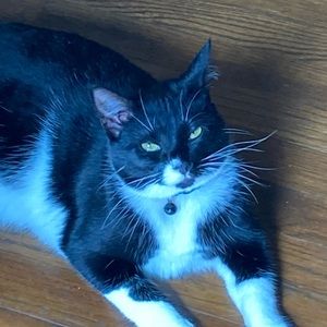 Meet your Posher, Nick 🤠